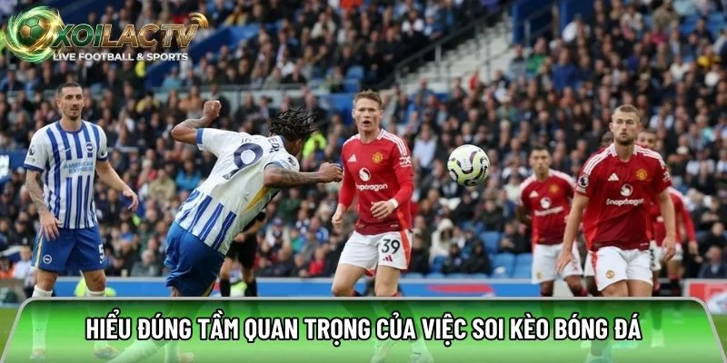 Hiểu đúng tầm quan trọng của việc soi kèo bóng đá